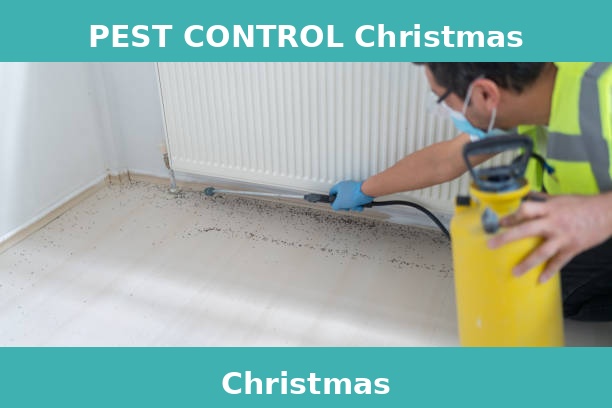 PEST CONTROL Christmas